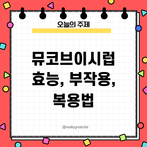 암브로콜 시럽 정보