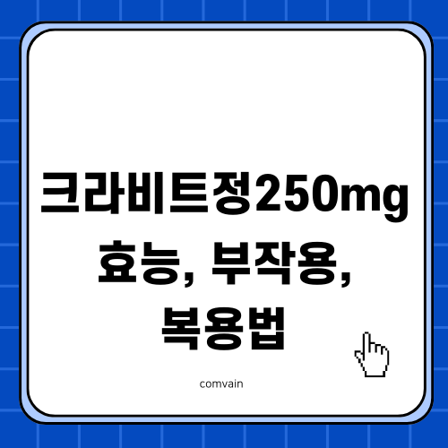 크라비트정250mg 효능, 부작용, 복용법