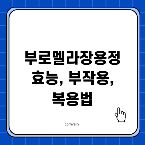 부로멜라장용정 효능 부작용 복용법