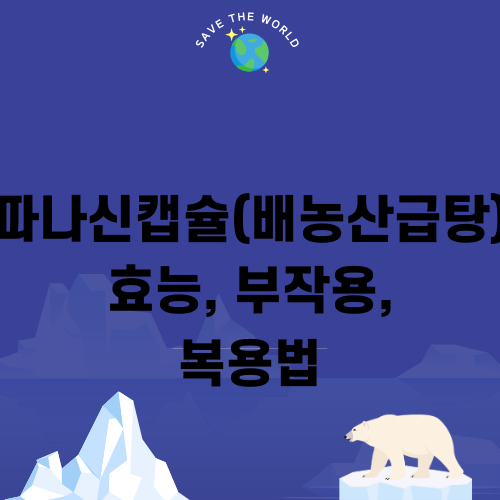 마이노신 캡슐 정보