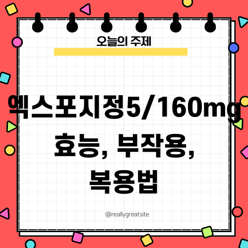 엑스포지정5/160mg 관련 포스트