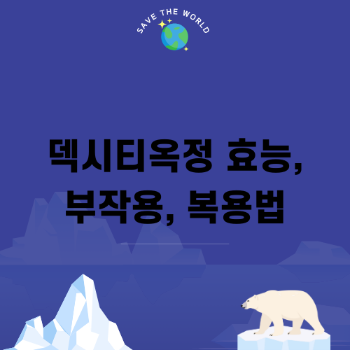 덱시티옥정 효능, 부작용, 복용법