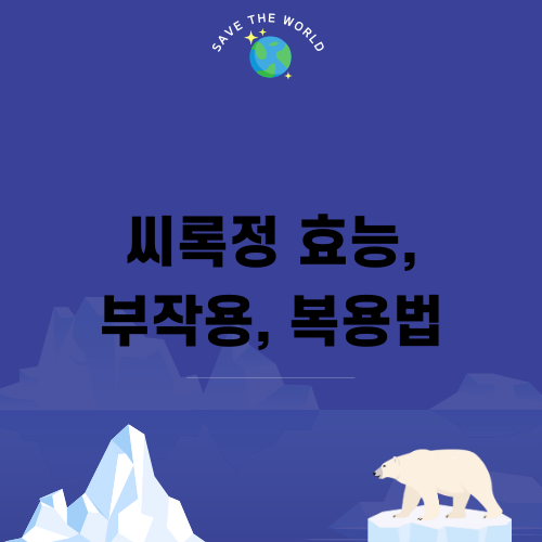 씨록정 효능 부작용 복용법 알아보기