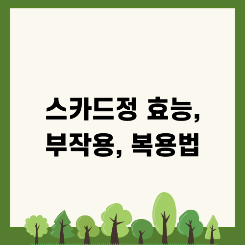 스카드정 효능 부작용 복용법 완벽정리