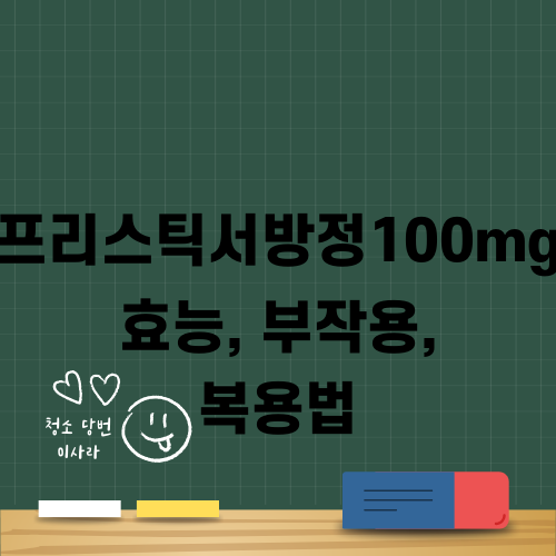 프리스틱서방정100mg 효능 부작용 복용법