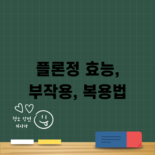 플론정 효능 부작용 복용법 총정리