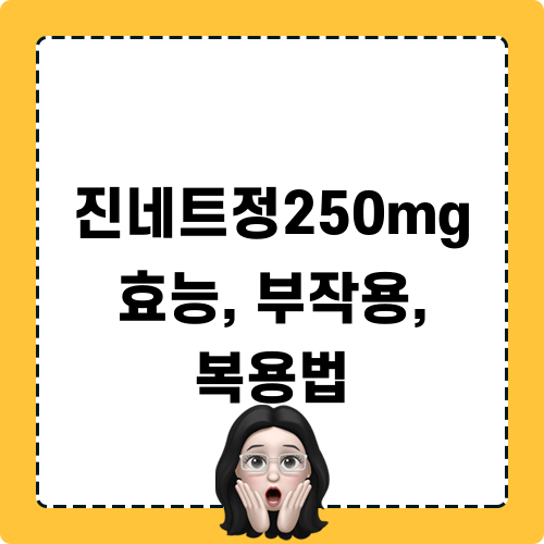 진네트정250mg 효능 부작용 복용법 완벽 가이드