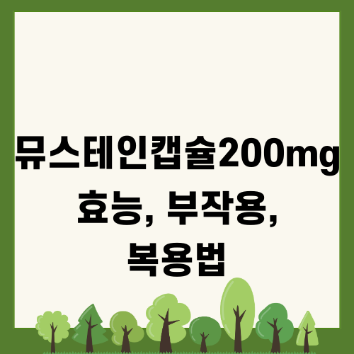 뮤스테인캡슐200mg 효능 부작용 복용법
