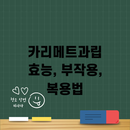 카리메트과립 효능 부작용 복용법