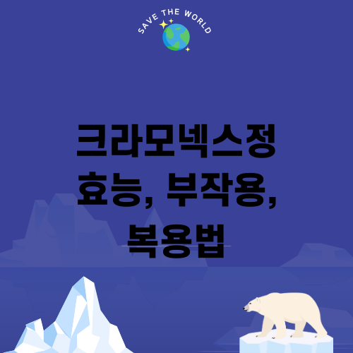 크라모넥스정 효능 부작용 복용법
