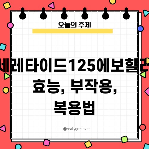 세레타이드125에보할러 효능 부작용 복용법