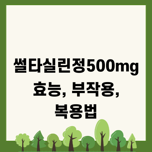 썰타실린정500mg 효능 부작용 복용법 알아보기