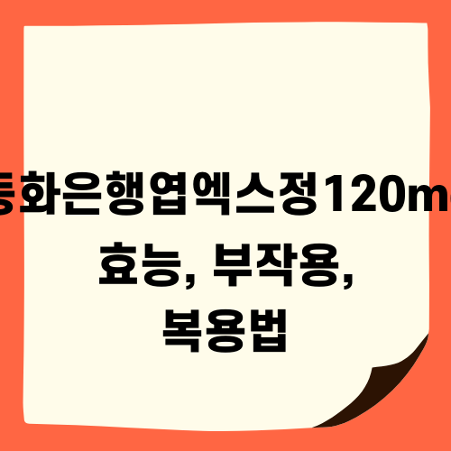 동화은행엽엑스정120mg 효능, 부작용, 복용법