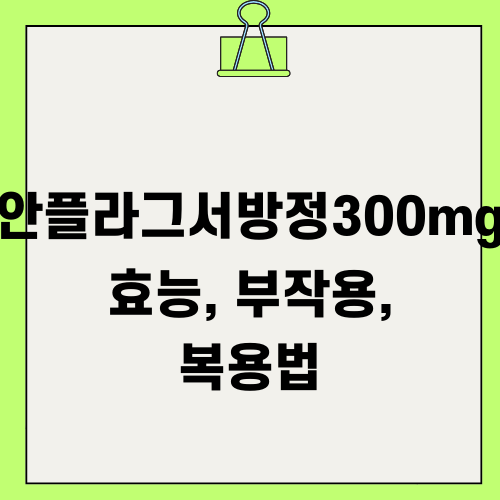 안플라그서방정300mg 효능 부작용 복용법