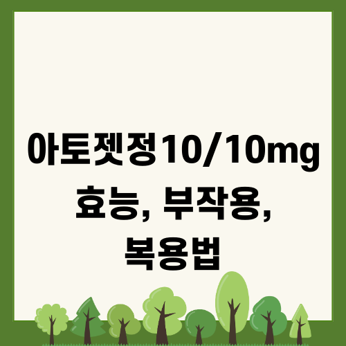 아토젯정10/10mg 효능 부작용 복용법