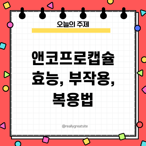 앤코프로캡슐 효능 부작용 복용법