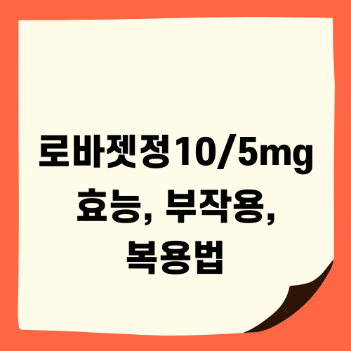 로바젯정10/5mg 효능 부작용 복용법