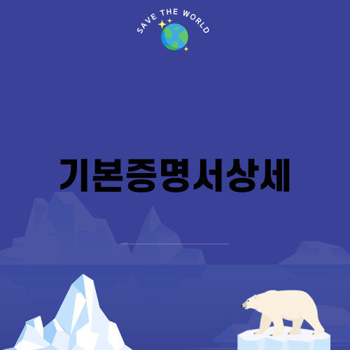기본증명서상세 이해하기