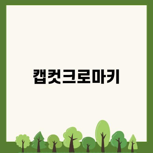 캡컷크로마키로 영상 편집하기
